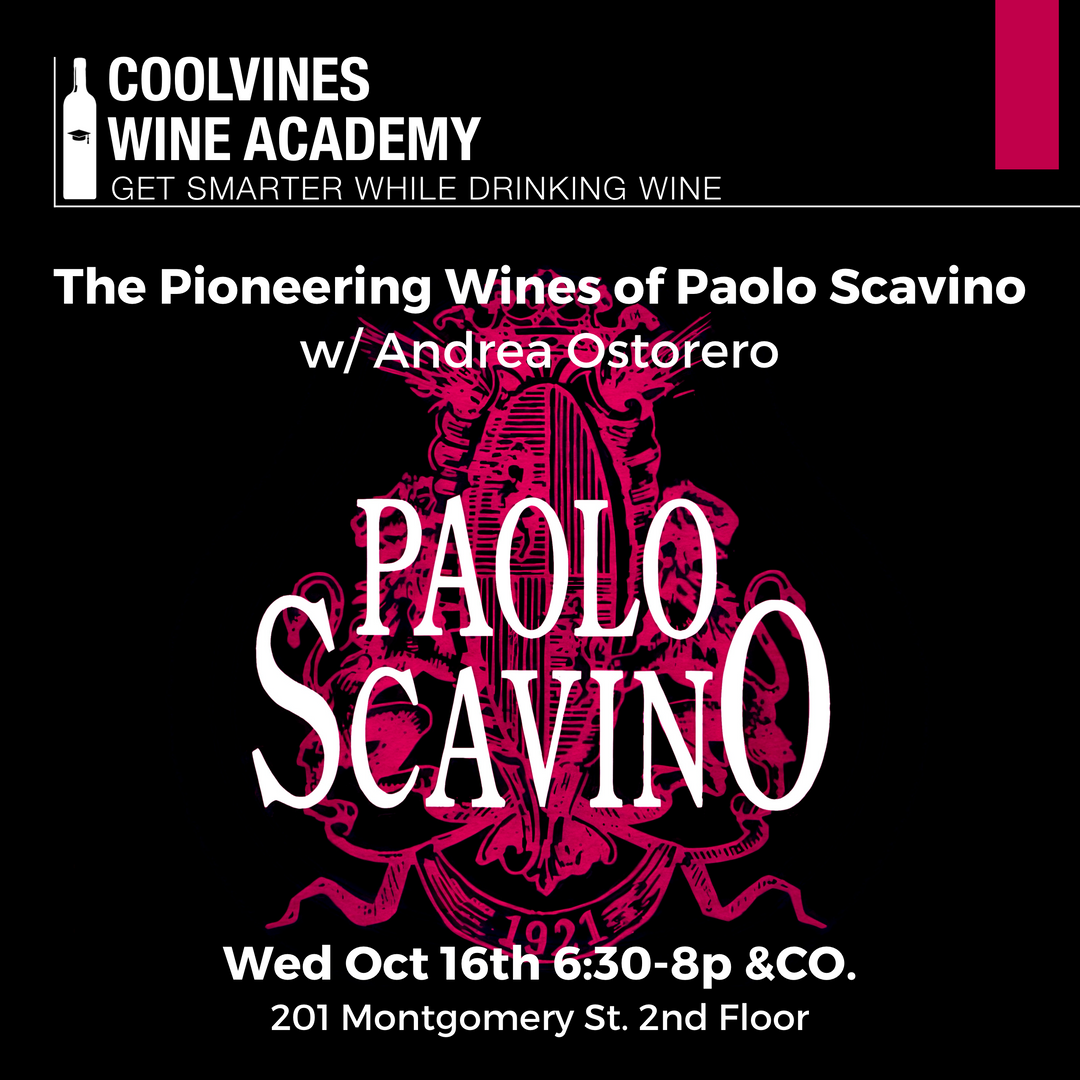 The Pioneering Barolo of Paolo Scavino