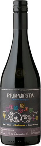 Viña Echeverria "Propuesta" Cabernet Sauvignon 2020