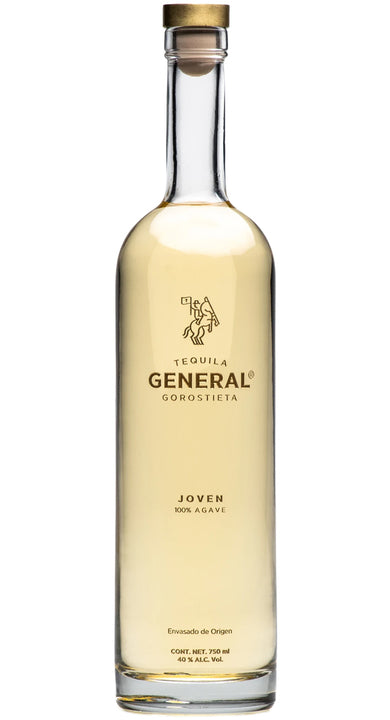 General Gorostieta Joven