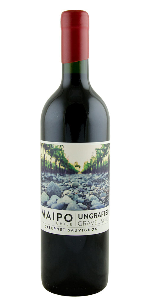 Ungrafted Cabernet Sauvignon 2020