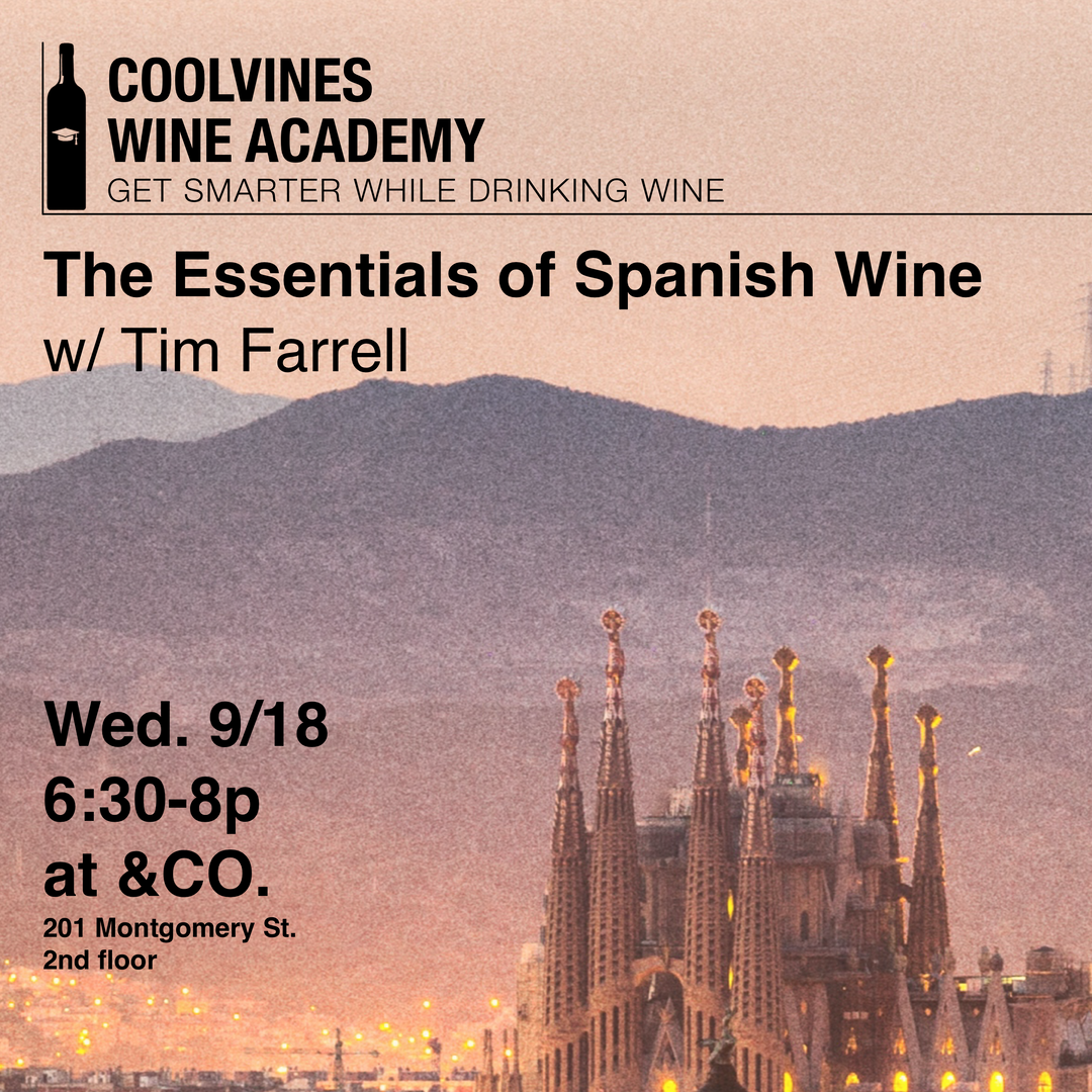 The Essentials of Spanish Wine