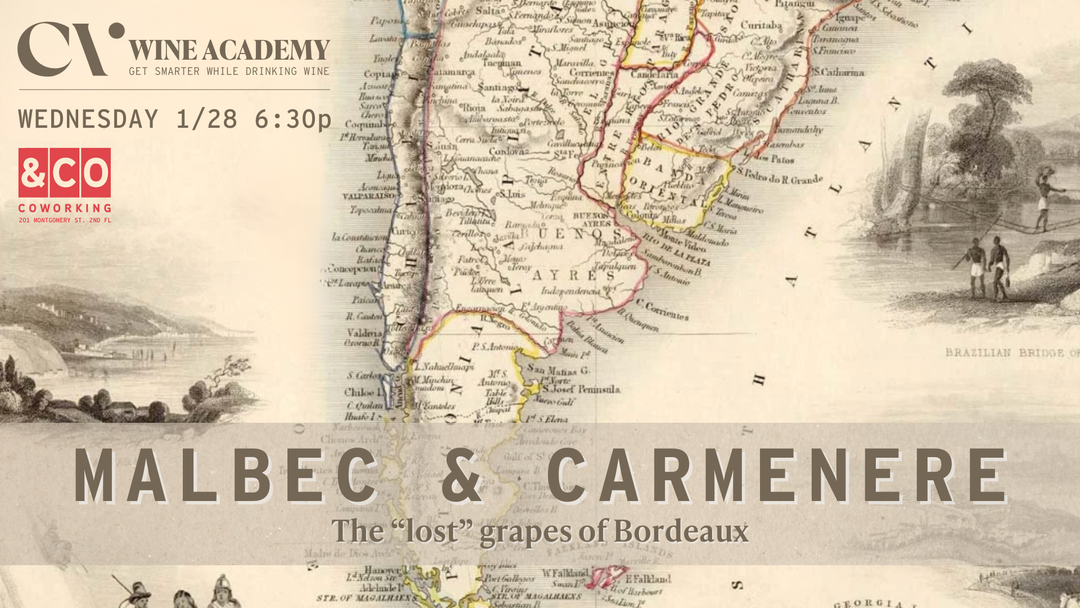 Malbec &amp; Carmenere: The "Lost" Grapes of Bordeaux