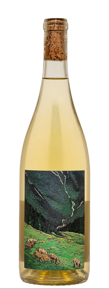 Kelley Fox Willamette Valley Gruner Veltliner 2023